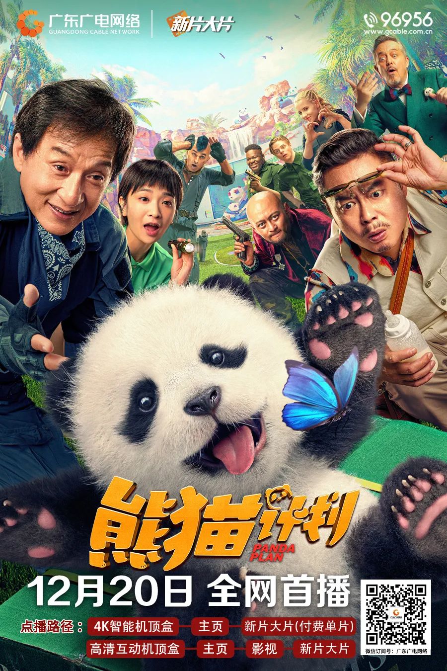 图片